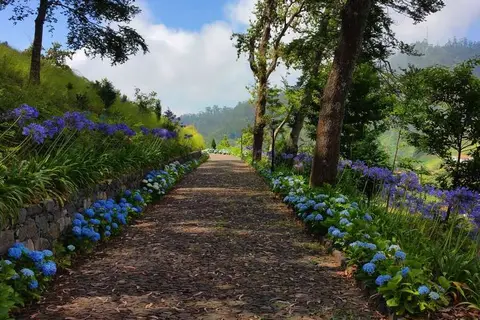 Quinta da Serra in Câmara de Lobos — foto 19