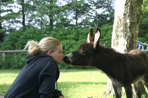 Vakantiepark Skallerup Seaside Resort in Hjørring Municipality — foto 31