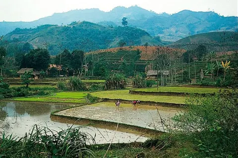 17-daagse rondreis Highlights van Vietnam in Cần Thơ — foto 5