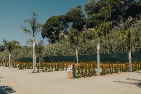 Camping El Toro Azul foto 13