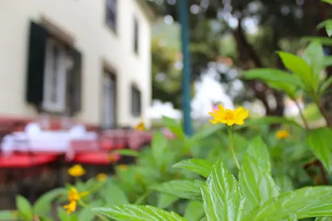 Solar da Boaventura Residencia in Santa Cruz — foto 17