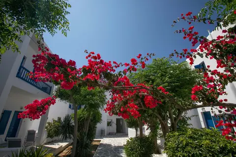 Hotel Acrogiali in Πλατύς Γιαλός — foto 12