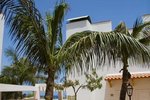 Aparthotel Esquinzo Y Monte del Mar in Pájara — foto 19