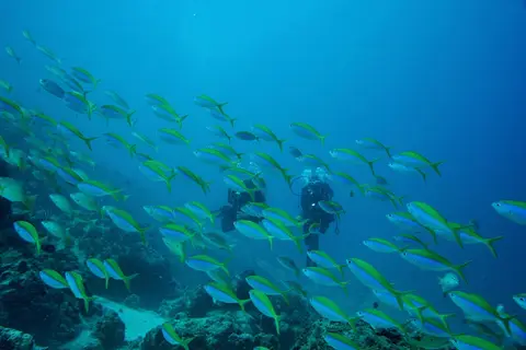 TUI BLUE Bahari Zanzibar in Kiwengwa — foto 19