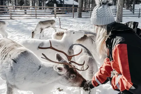 8 daagse excursiereis Lapland Hotel Sirkantähti foto 3