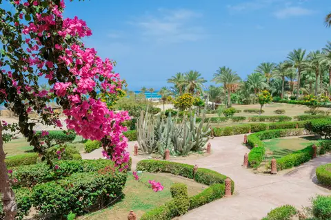 Dream Lagoon & Aqua Park Resort in مرسى علم — foto 7