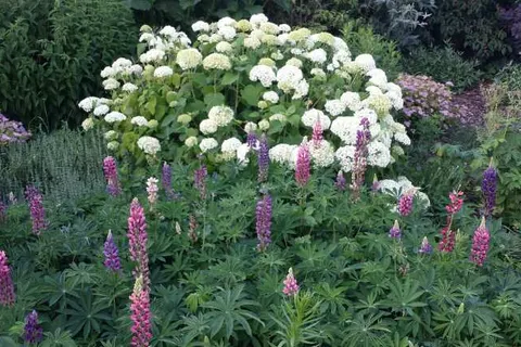 Luxe Bed and Breakfast Het Colmerhof foto 32