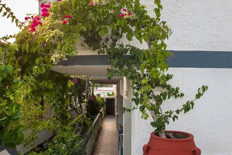 Fevro in Αγία Γαλήνη — foto 11