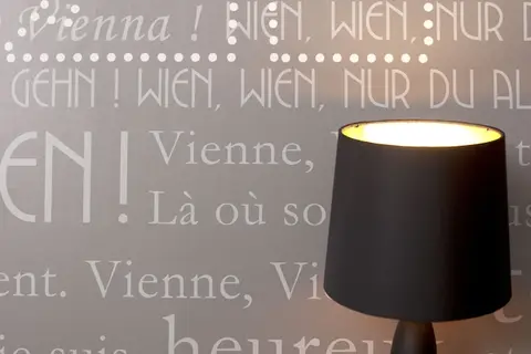 Hotel Mercure Vienna First in Wenen — foto 24