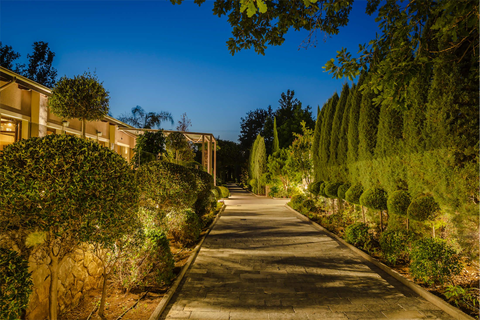 Daluz Boutique hotel foto 15