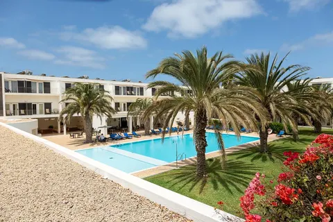 Dunas de Sal in palmeiras