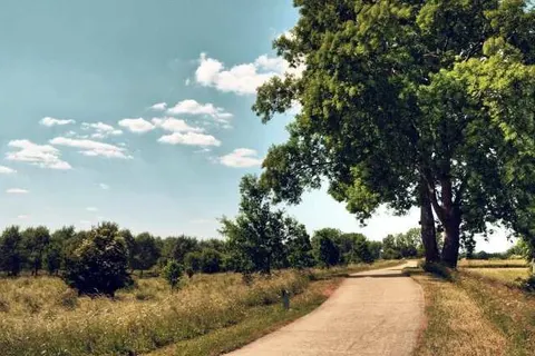 Terhills Hotel foto 21