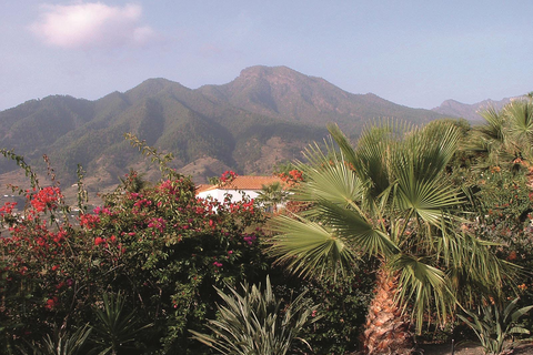 Bungalows La Villa foto 5