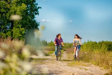 Parkhotel Horst foto 33