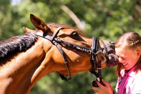 Horsetellerie Rheezerveen foto 11