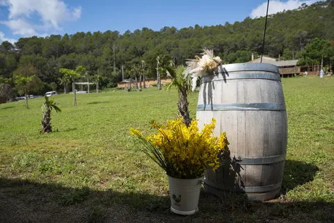 Camping Vall De Codó in Terrades — foto 12