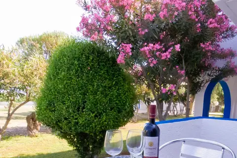 Tigaki's Star in Τιγκάκι — foto 28