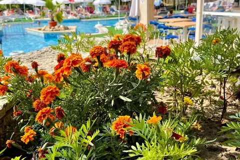 BSA Holiday Park Hotel in СПА център Ривиера Бийч — foto 7