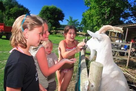 Camping Haliotis foto 10