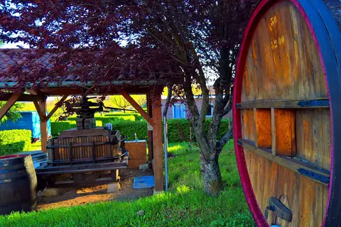 La Grappe Fleurie in Fleurie — foto 4