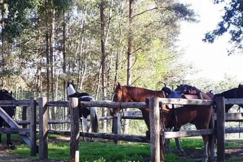 Camping de Binnenvaart foto 3
