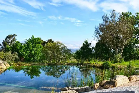 Quinta Vale Porcacho in Tábua — foto 2