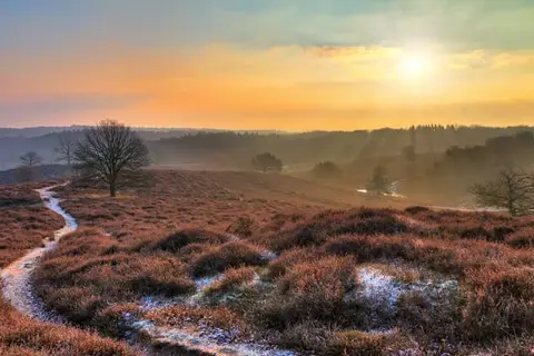 De Lunterse Boer in Lunteren — foto 16