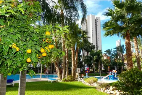 Siroco - Gemelos 22 in Benidorm — foto 10