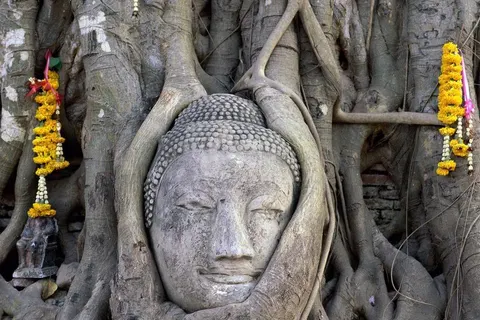15-daagse rondreis Amazing Thailand foto 4