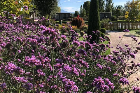 Vakantiepark La Sirenetta foto 4