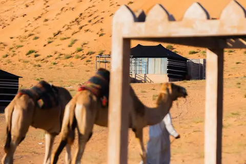 Thousand Nights Camp in Wahiba Sands — foto 18