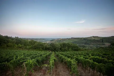 Tenuta Moriano in Montespertoli — foto 27
