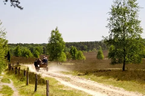 Landhotel Schnuck foto 34