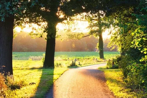 Vakantiepark De Lourenshoeve foto 13