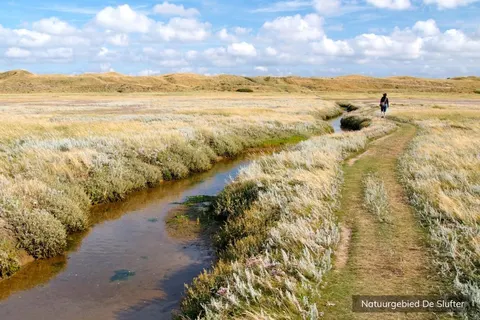 Villapark De Koog foto 10