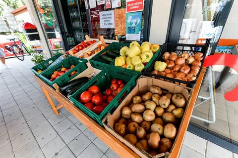 Camping Ugljan foto 11