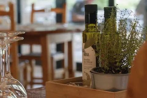 Taïga Bassegoda Park in Albanyà — foto 21