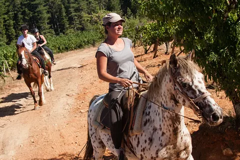 Camping La Nouzarède foto 11
