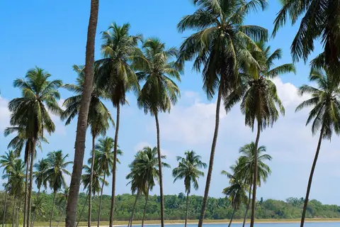 Shangri-La Hambantota in Hambantota — foto 25