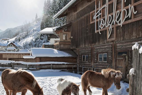 Feriendorf Holzleb'n foto 9