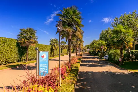 Camping Butterfly in Peschiera del Garda — foto 5