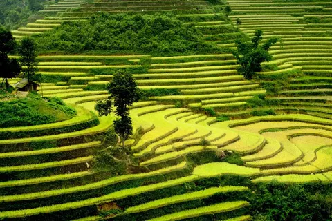 15-daagse rondreis Bali, Lombok & Gili foto 3