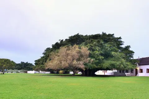 De Hoop Collection in De Hoop Nature Reserve — foto 4