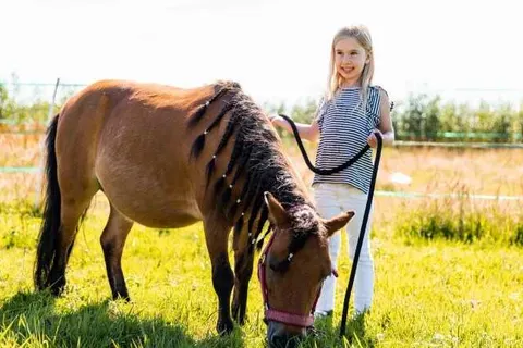 TopParken Parc de IJsselhoeve foto 6