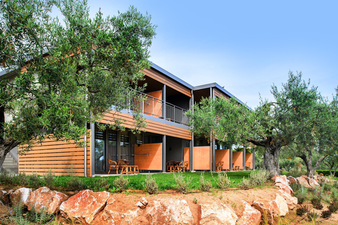 Hotel Blue Dolphin foto 20