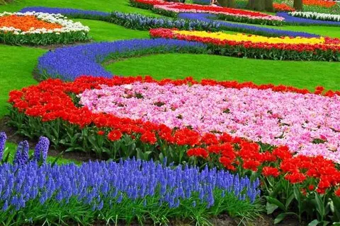 ibis Styles Haarlem City Hotel foto 16