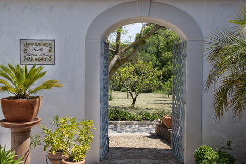 Olival de Sao Filipe foto 5