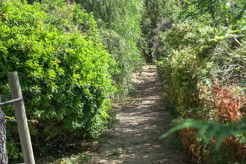 Residence Résidence Vesna Rossa in Lecci — foto 12