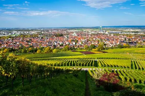 DEKRA Congresshotel Wart foto 20