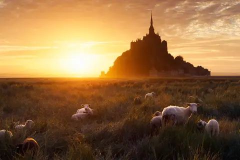 Ontdek Normandië en Bretagne in Châtillon-en-Vendelais — foto 16